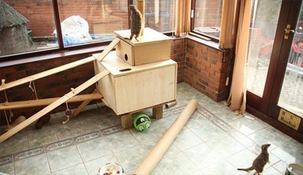 Foto - Bu eve girmek cesaret ister