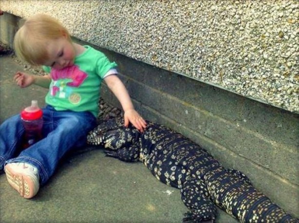 Foto - Bu eve girmek cesaret ister