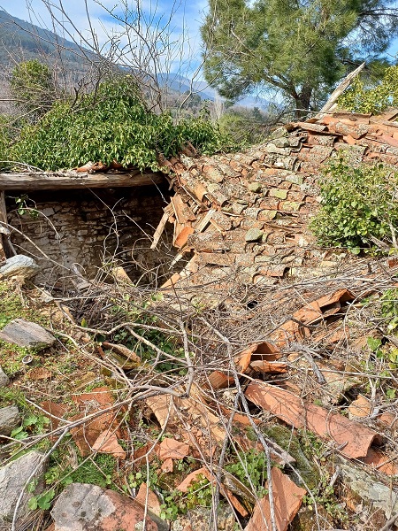 Foto - Bu evler zamana yenik düştü