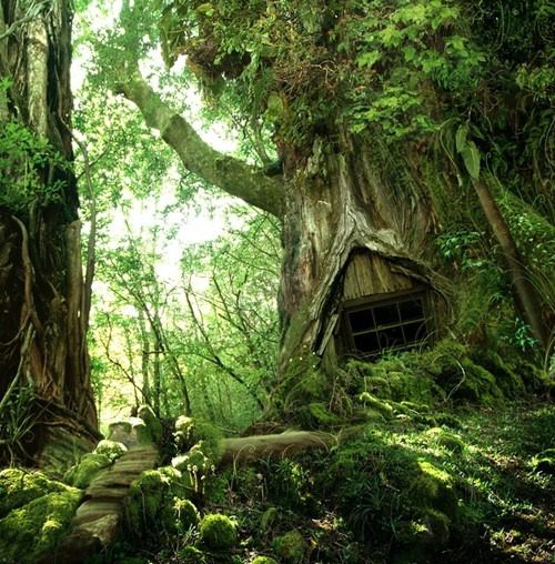 Foto - Bu evlere hayran kalacaksınız