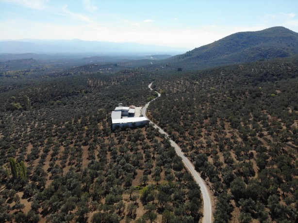 Foto - Bu fiyata yağ sakın almayın! O rakamı görürseniz hemen kaçın