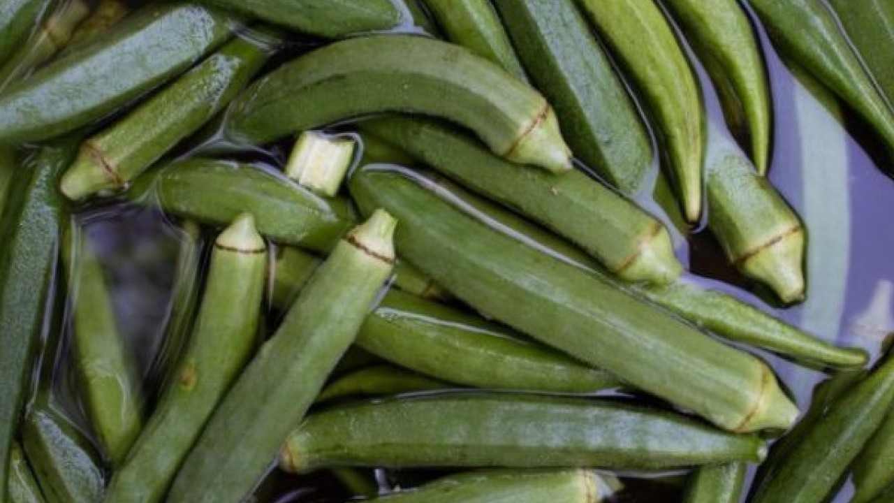 Foto - Bu formülü daha önce duydunuz mu? Her sabah limonlu bamya suyu içince bakın ne oluyor