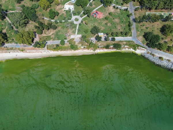 Foto - Bu fotoğraf İstanbul'da çekildi! Megakentte deniz bu hale geldi