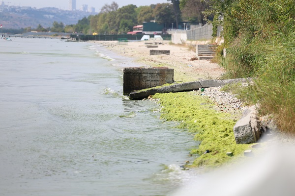 Foto - Bu fotoğraf İstanbul'da çekildi! Megakentte deniz bu hale geldi