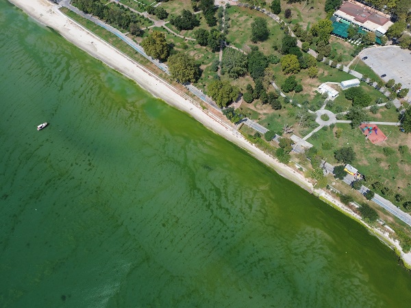 Foto - Bu fotoğraf İstanbul'da çekildi! Megakentte deniz bu hale geldi