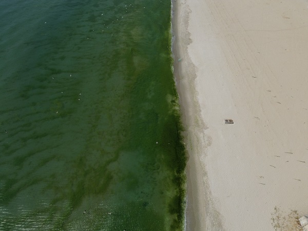Foto - Bu fotoğraf İstanbul'da çekildi! Megakentte deniz bu hale geldi