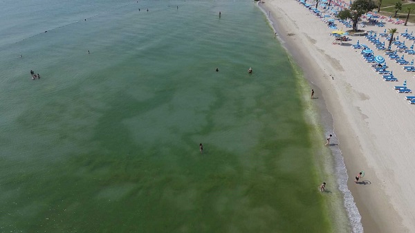 Foto - Bu fotoğraf İstanbul'da çekildi! Megakentte deniz bu hale geldi