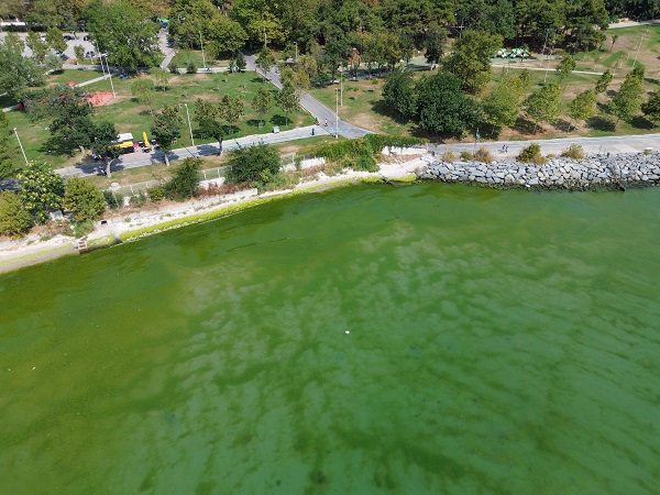 Foto - Bu fotoğraf İstanbul'da çekildi! Megakentte deniz bu hale geldi