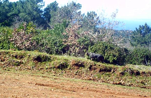 Foto - Bu fotoğraf Yalova'da çekildi!