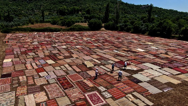 Foto - Bu fotoğrafa daha yakından bakın! Buğday arazisi rengarenk oldu
