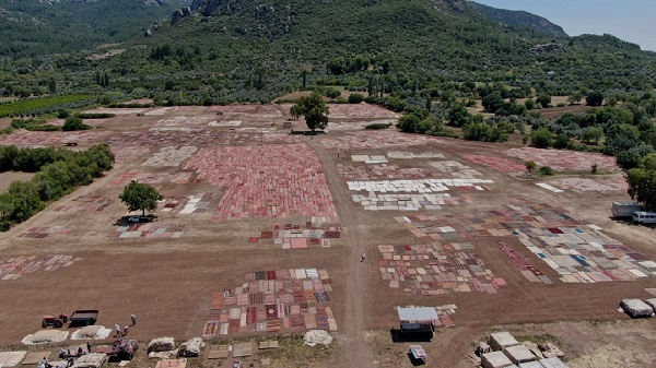 Foto - Bu fotoğrafa daha yakından bakın! Buğday arazisi rengarenk oldu