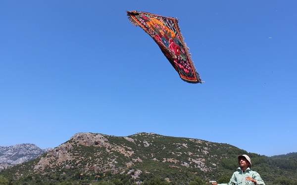 Foto - Bu fotoğrafa daha yakından bakın! Buğday arazisi rengarenk oldu