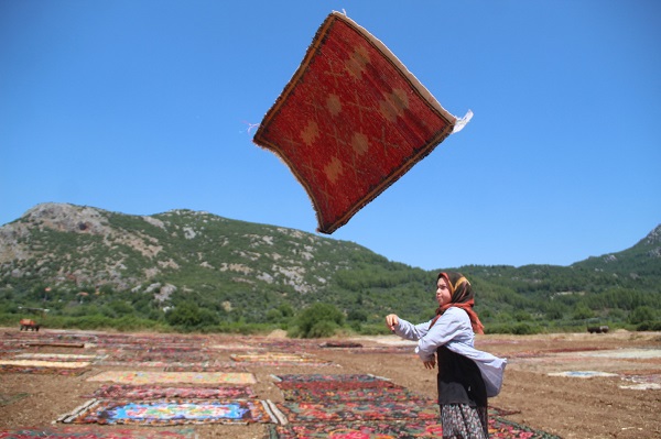 Foto - Bu fotoğrafa daha yakından bakın! Buğday arazisi rengarenk oldu
