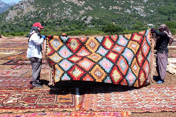 Foto - Bu fotoğrafa daha yakından bakın! Buğday arazisi rengarenk oldu