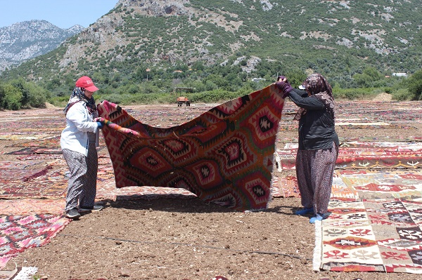 Foto - Bu fotoğrafa daha yakından bakın! Buğday arazisi rengarenk oldu