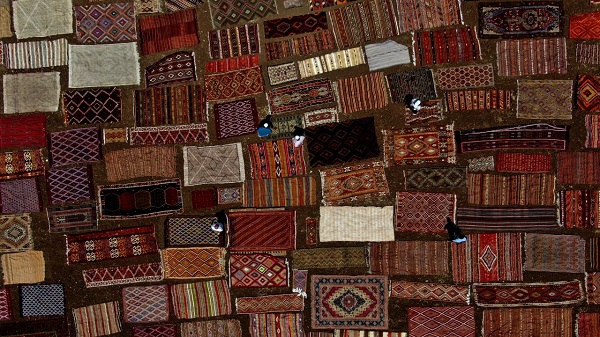 Foto - Bu fotoğrafa daha yakından bakın! Buğday arazisi rengarenk oldu