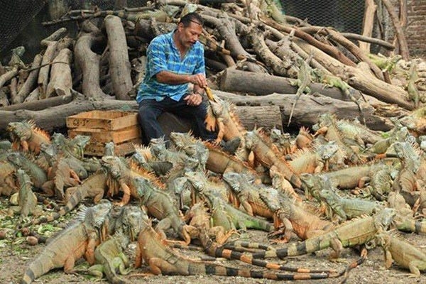 Foto - Bu fotoğraflar adeta konuşuyor!