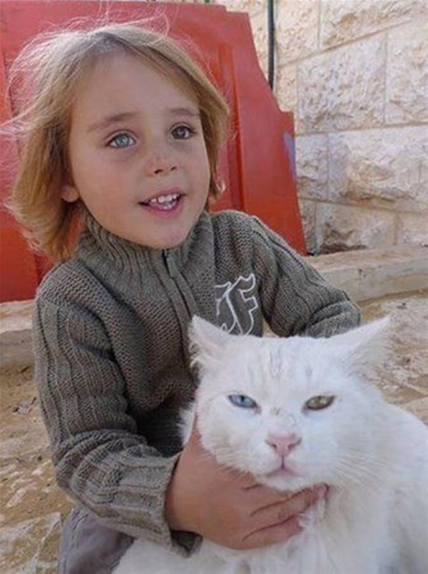 Foto - Bu fotoğraflar adeta konuşuyor!