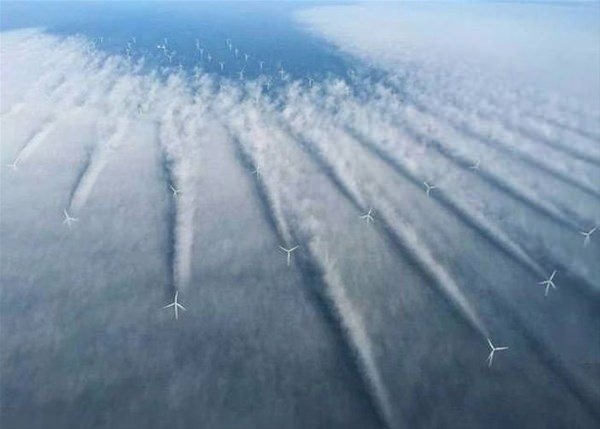 Foto - Bu fotoğraflar adeta konuşuyor!