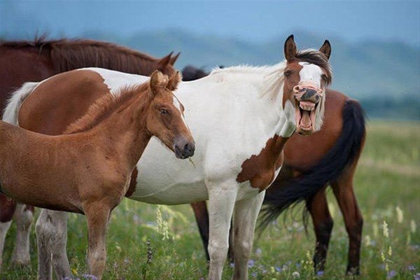 Foto - Bu fotoğraflar adeta konuşuyor!