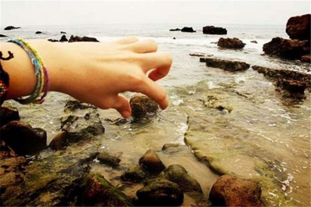 Foto - Bu fotoğraflar çok ilginizi çekecek