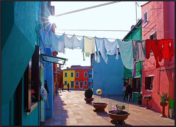 Foto - Bu fotoğraflar görenleri mutlu ediyor!