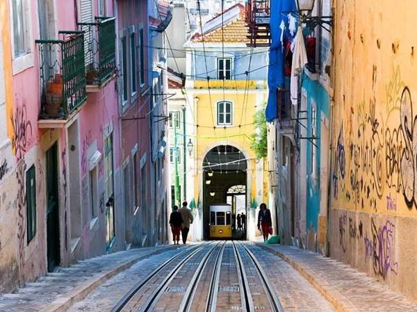 Foto - Bu fotoğraflar görenleri mutlu ediyor!