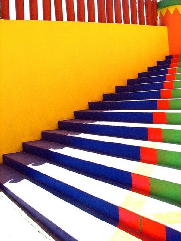 Foto - Bu fotoğraflar görenleri mutlu ediyor!