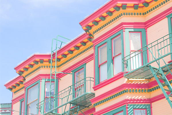 Foto - Bu fotoğraflar görenleri mutlu ediyor!