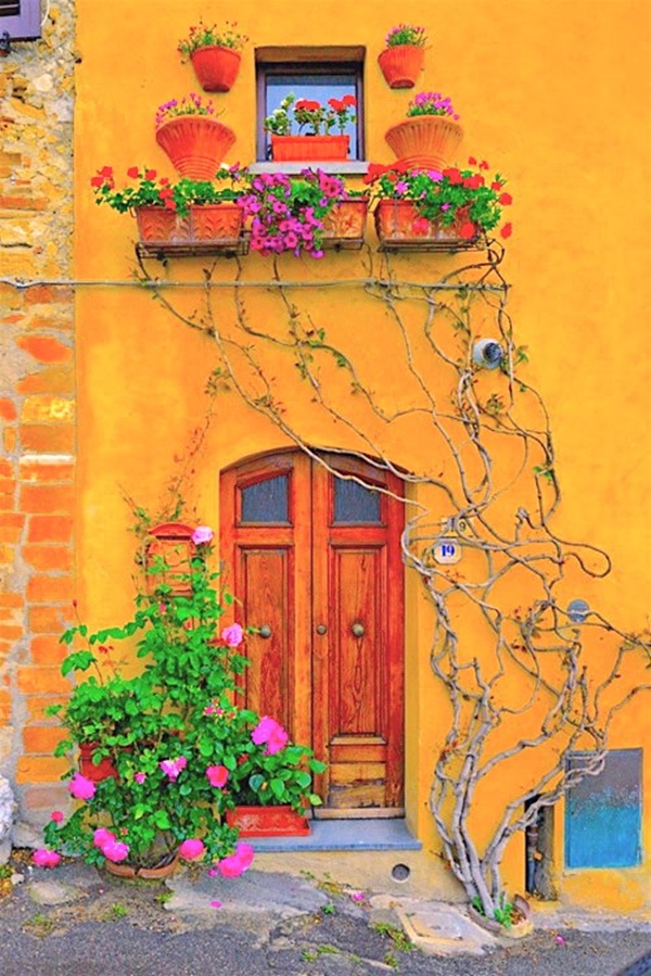 Foto - Bu fotoğraflar görenleri mutlu ediyor!