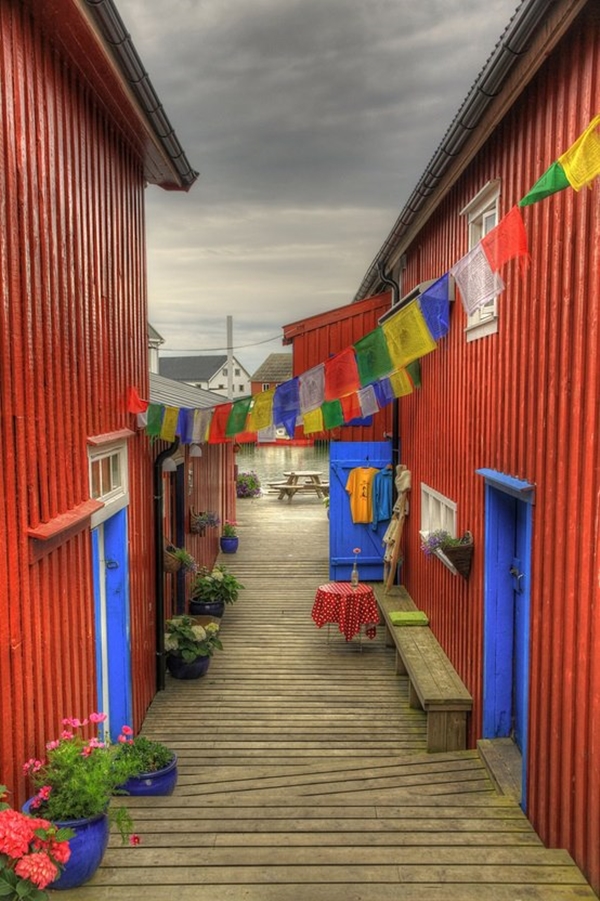 Foto - Bu fotoğraflar görenleri mutlu ediyor!