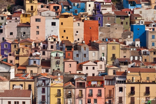 Foto - Bu fotoğraflar görenleri mutlu ediyor!