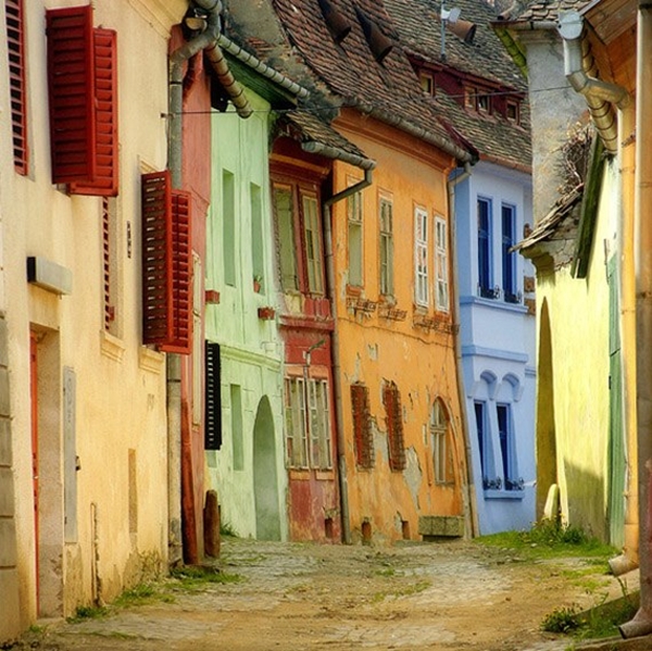 Foto - Bu fotoğraflar görenleri mutlu ediyor!