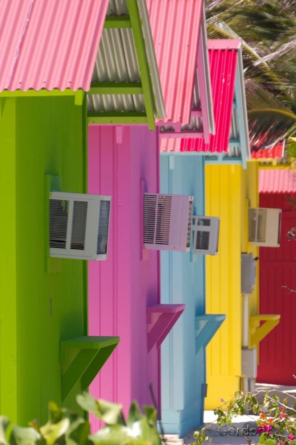 Foto - Bu fotoğraflar görenleri mutlu ediyor!