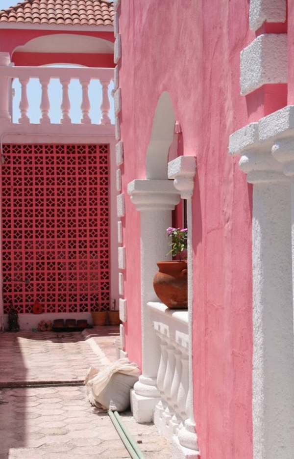 Foto - Bu fotoğraflar görenleri mutlu ediyor!