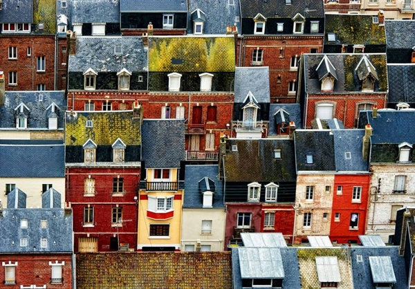 Foto - Bu fotoğraflar görenleri mutlu ediyor!