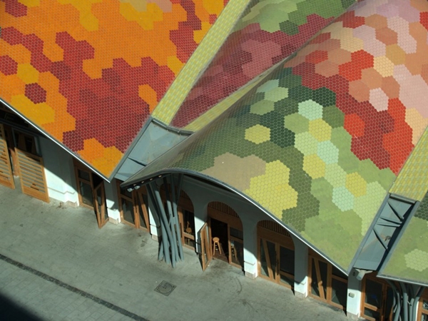 Foto - Bu fotoğraflar görenleri mutlu ediyor!