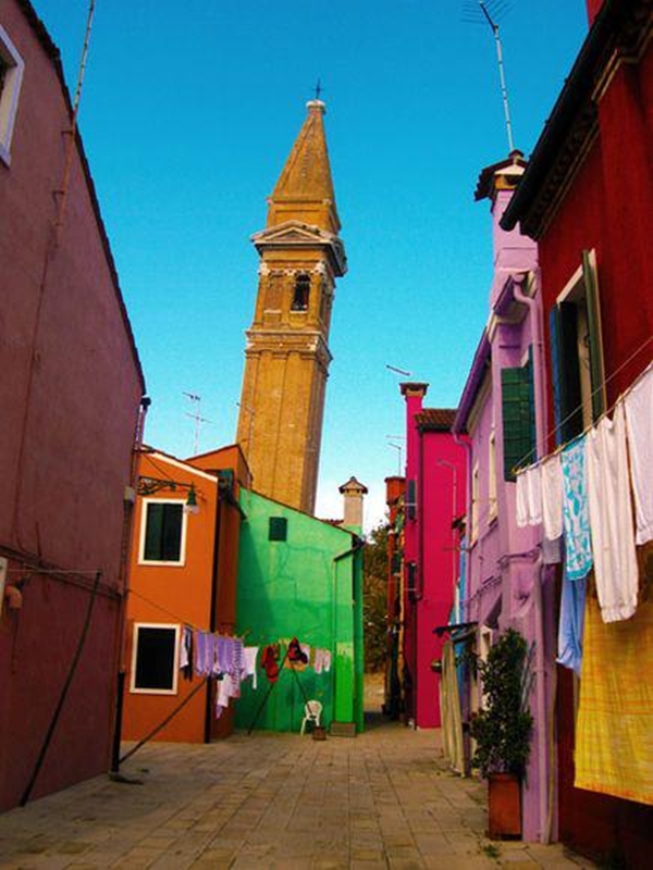 Foto - Bu fotoğraflar görenleri mutlu ediyor!