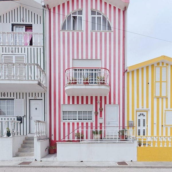 Foto - Bu fotoğraflar görenleri mutlu ediyor!