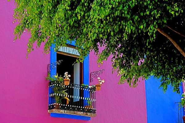 Foto - Bu fotoğraflar görenleri mutlu ediyor!