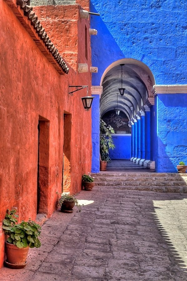 Foto - Bu fotoğraflar görenleri mutlu ediyor!