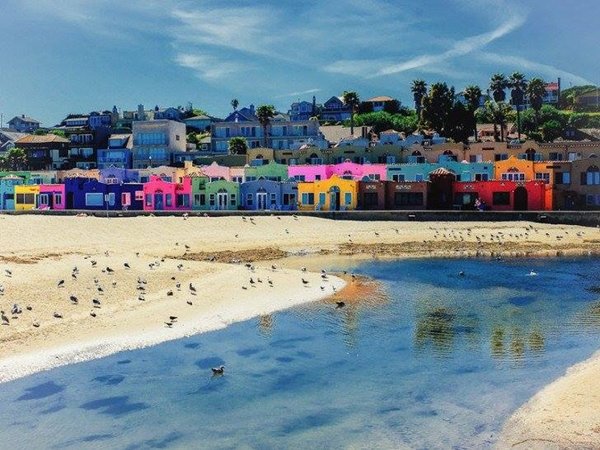 Foto - Bu fotoğraflar görenleri mutlu ediyor!