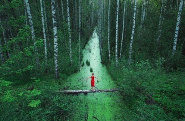 Foto - Bu fotoğraflar herkesi etkiliyor!