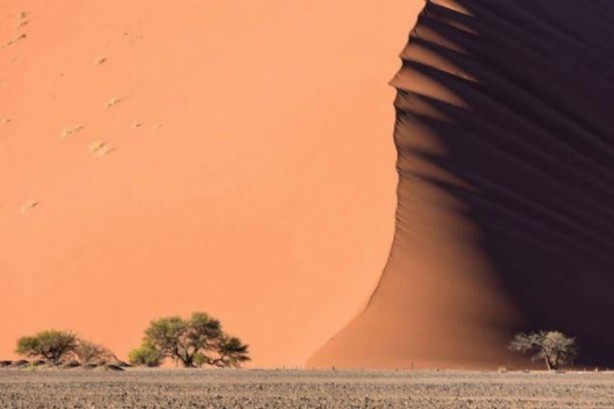 Foto - Bu fotoğraflar herkesi etkiliyor!