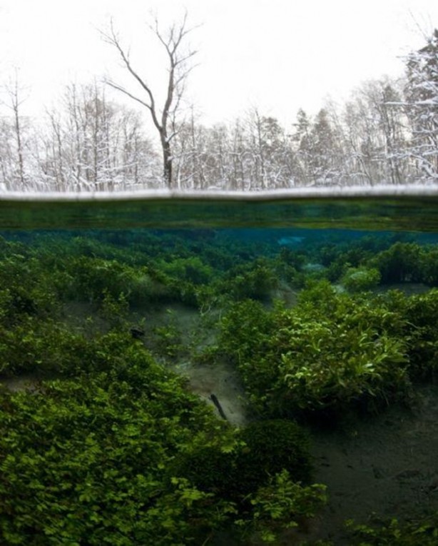 Foto - Bu fotoğraflar herkesi etkiliyor!