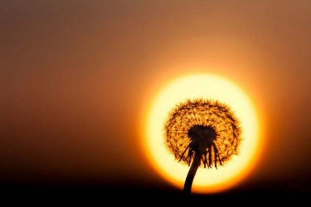 Foto - Bu fotoğraflar herkesi etkiliyor!