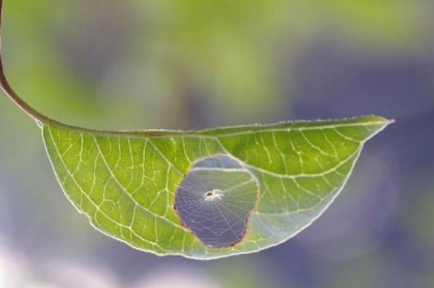 Foto - Bu fotoğraflar herkesi etkiliyor!