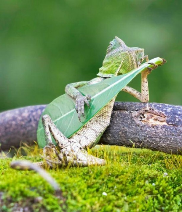  Bu fotoğraflar herkesi etkiliyor!