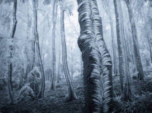 Foto - Bu fotoğraflar herkesi etkiliyor!