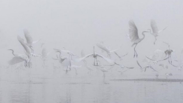Foto - Bu fotoğraflar herkesi etkiliyor!